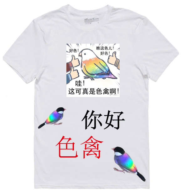 色禽Tshirt